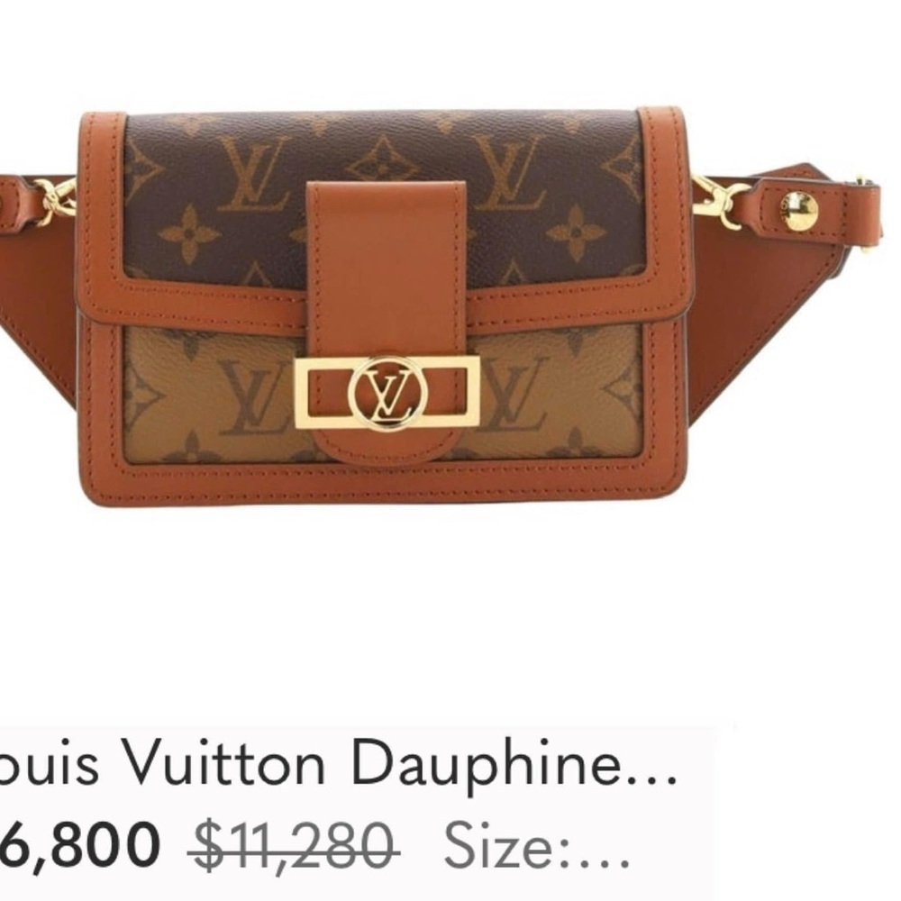 Louis Vuitton belt bag - Picture 15 of 16